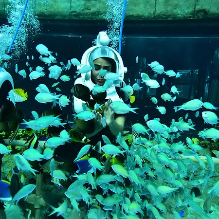 The Land Of Legends Kingdom - All-in Concept Hotel Belek